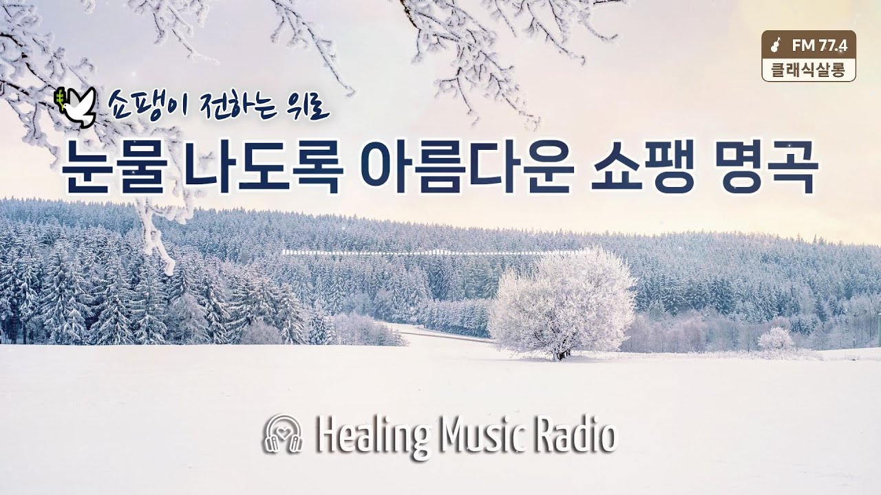 🎹 지친 마음을 어루만지는 쇼팽의 위로 | Chopin: Tearfully Beautiful Classics