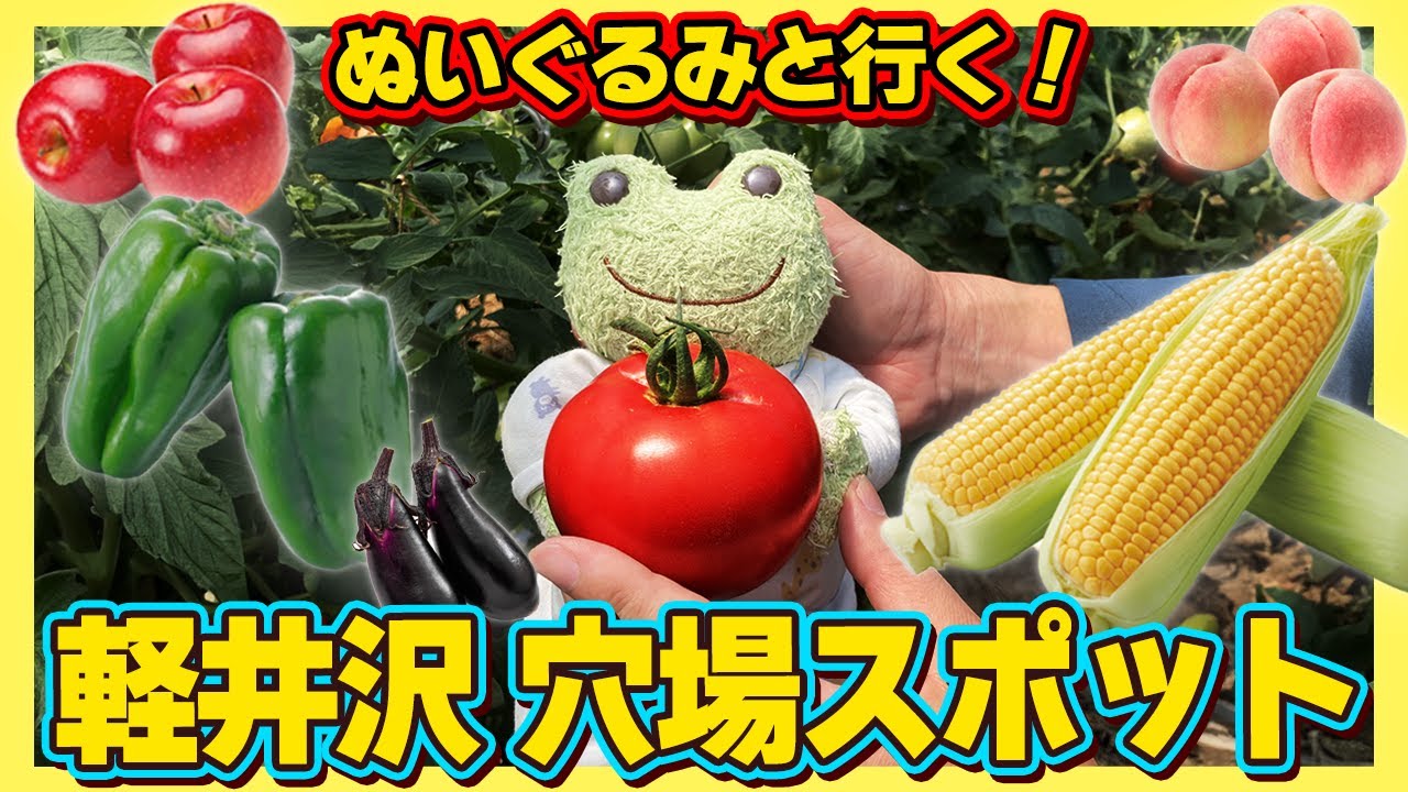 ぬいぐるみと人目を気にせず楽しむ！軽井沢の超穴場スポットで暴れまわる🔥