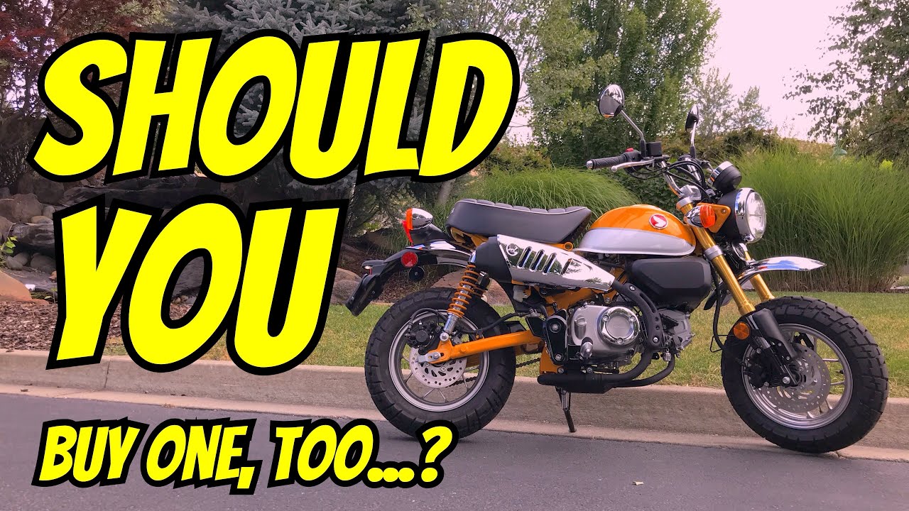 5 Reasons I Love The 2019 Honda Monkey - Ride Along To My Destination!