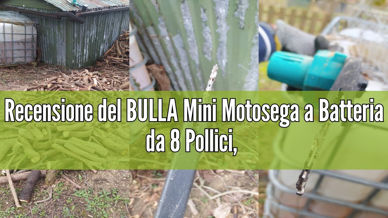 Recensione del BULLA Mini Motosega a Batteria da 8 Pollici, Motosega a Batteria con Motore Brushless
