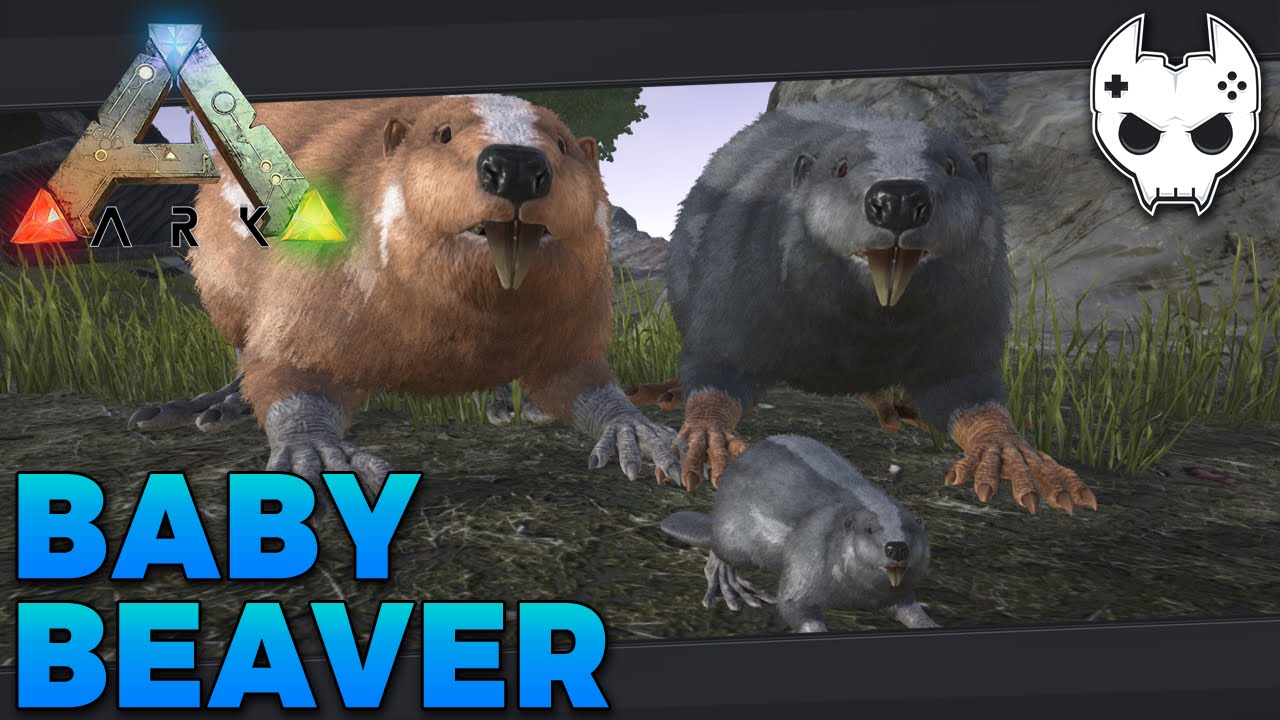 ARK: Survival Evolved - BABY BEAVER / CASTOROIDES TAMING - S3E31 - Let's Play Gameplay