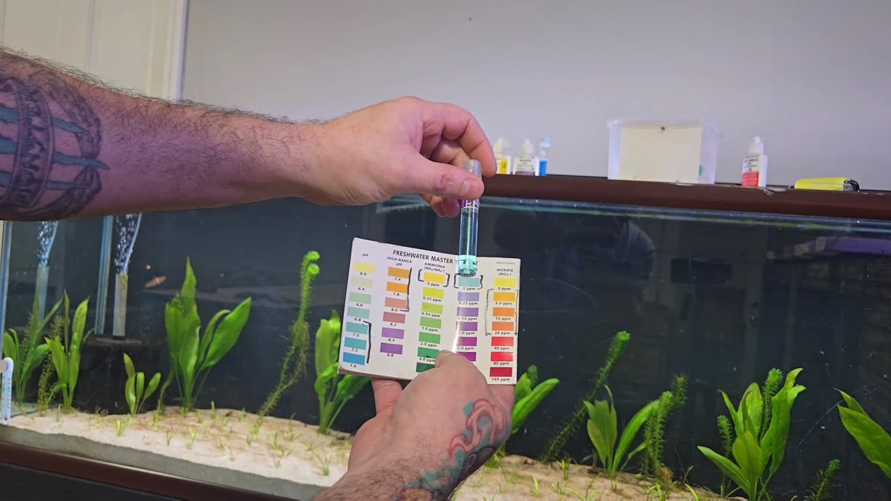 CHECKING YOUR WATER PARAMETERS