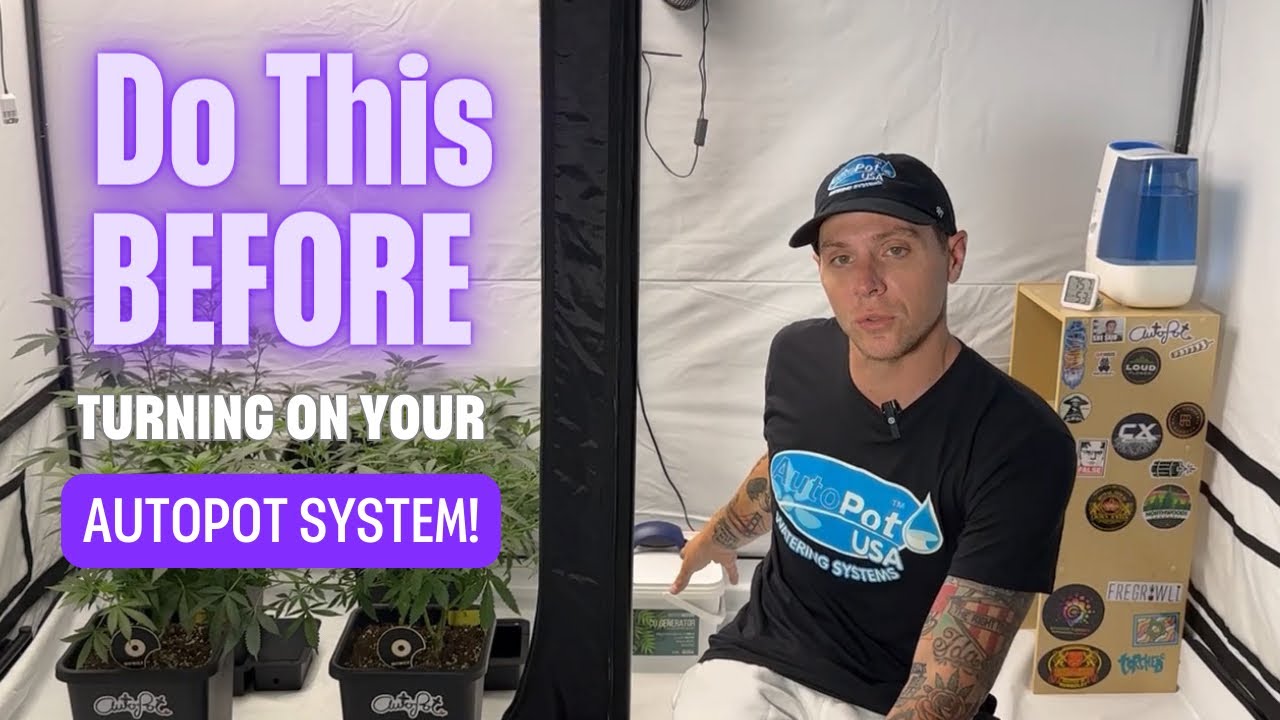 Flowering in AutoPot - Tips For Turning on Your System!