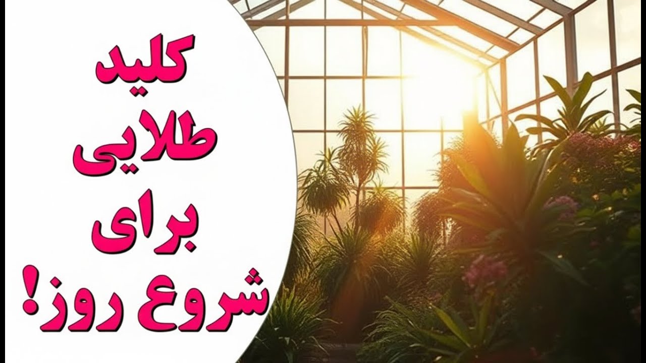 یه عادت صبحگاهی که کل روزت رو عوض می‌کنه! (کلید طلایی شروع با خدا)