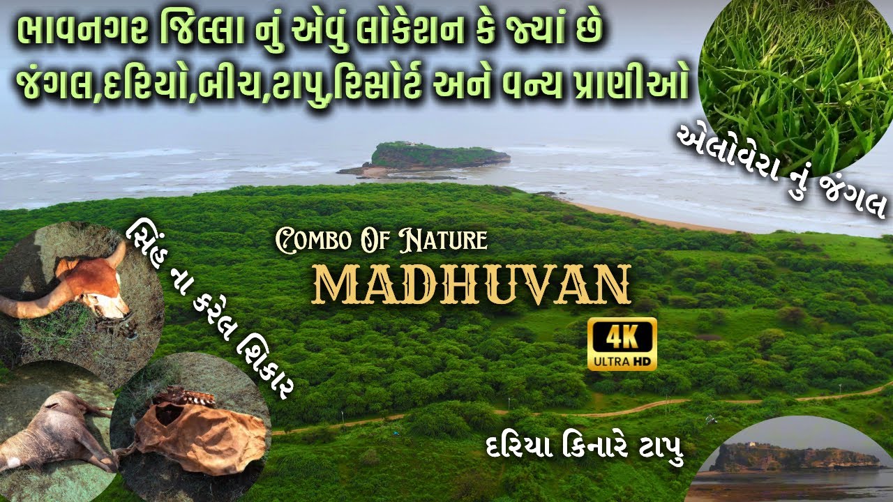 મધુવન જાંજમેર । નેચર નો એક કોમ્બો | MADHUVAN | BEST TRAVEL ADVENTURE PLACES IN BHAVNAGAR GUJARAT |
