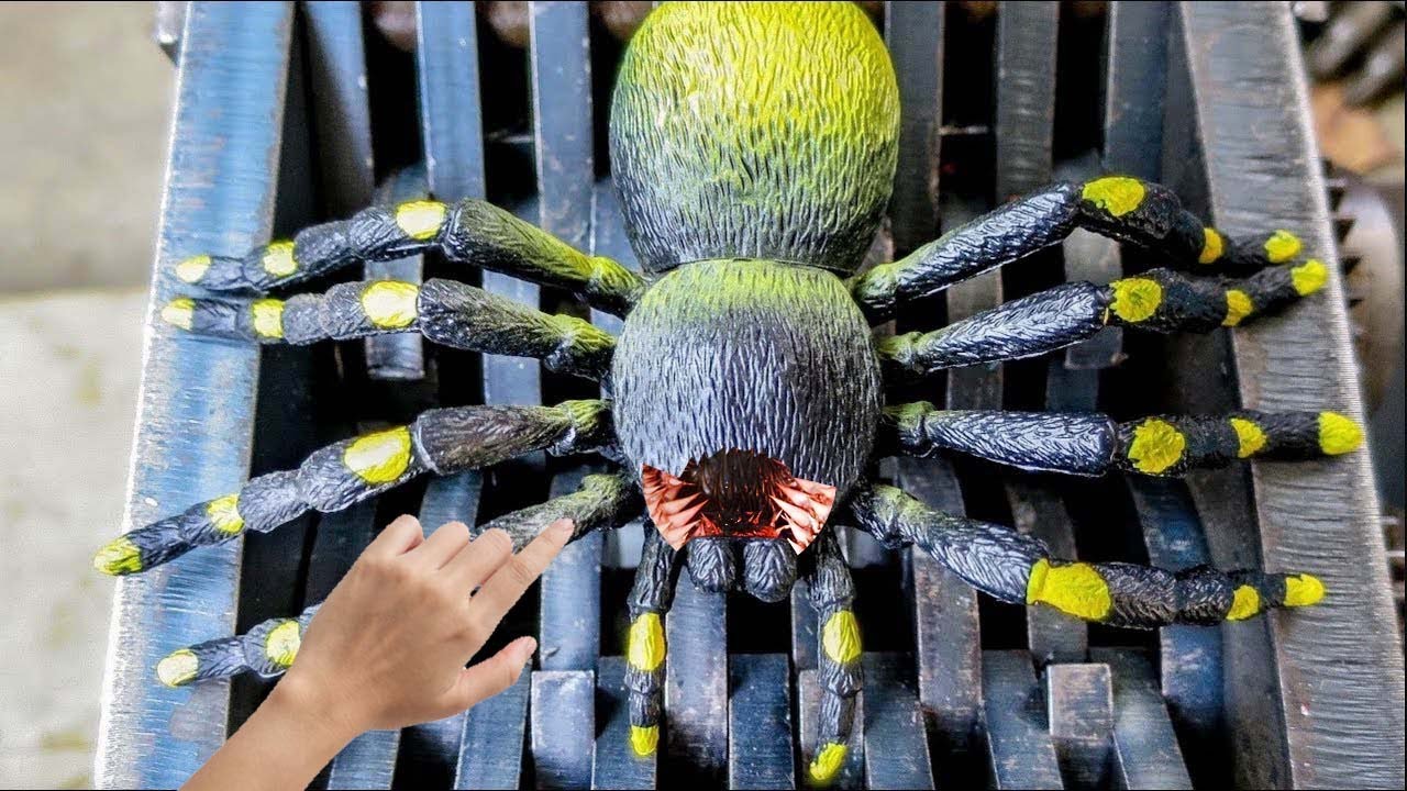 100 Insetos mais Perigosos do Mundo