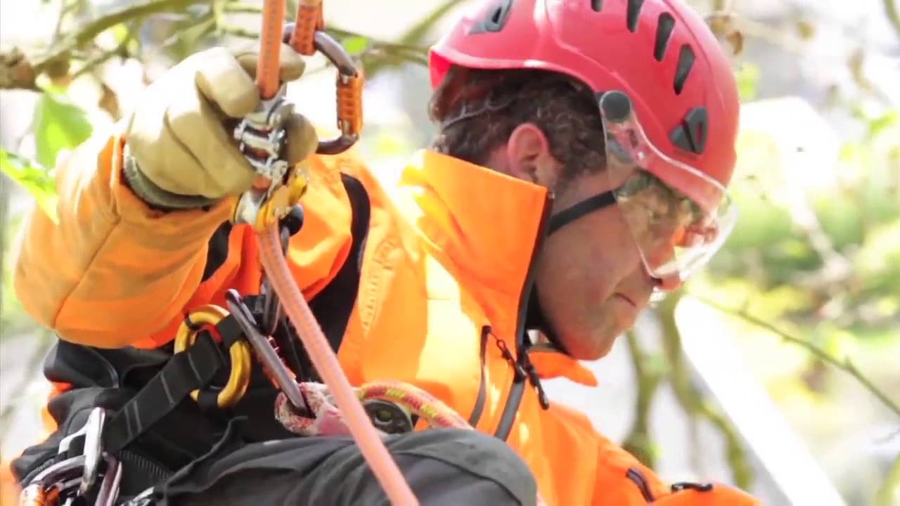 ZIGZAG   Mechanical Prusik for arborists RU   Petzl mp4
