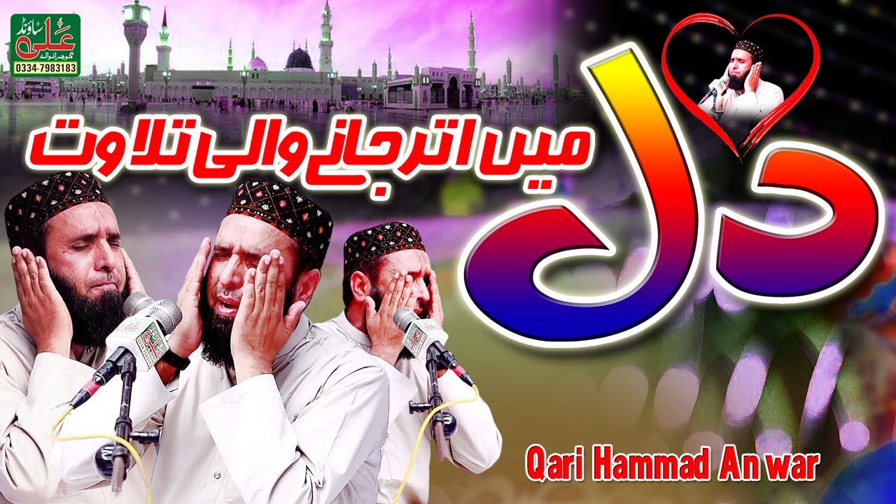Qari Hammad Anwar Nafeesi || Best Quran Recitation 2025 || Ali Sound Gujranwala