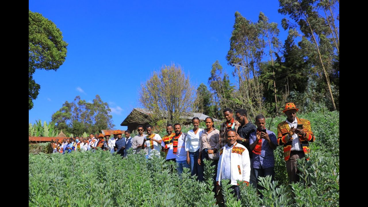 የጋሞ ዞን የግብርና ዘርፍ እመርታዎች ክፍል 1