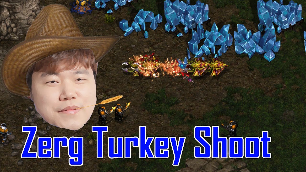 Speed vs ZERG TvZ Video!  - Starcraft Broodwar
