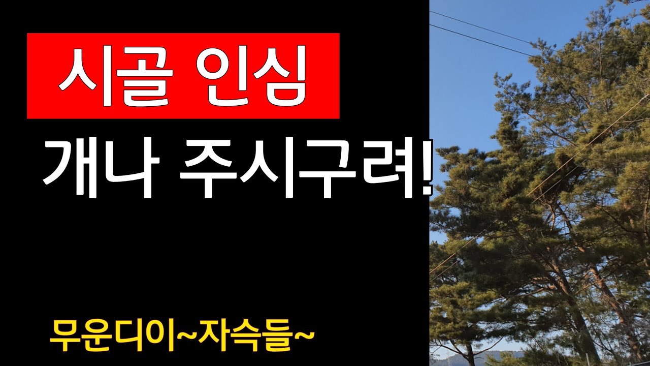 시골 인심 ,시골텃세, 귀농 귀촌인에겐 걸림돌이 되기도 하지만, 잘 극복해야 합니다.