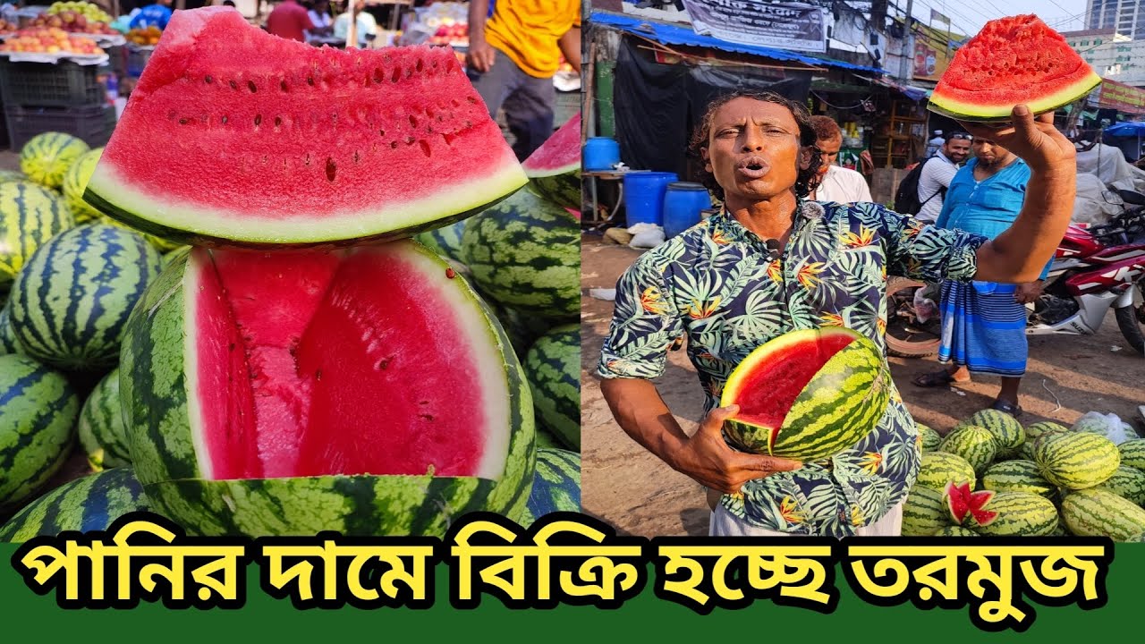 মাএ ৫০ টাকা কেজিতে বিক্রি হচ্ছে বরিশালের তরমুজ ঢাকা কাওরান বাজার || watermelon Fruits price 