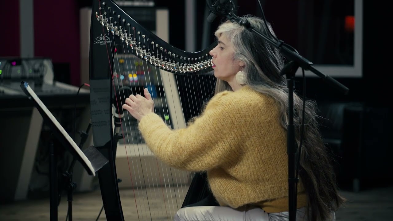 LIAO Lin-Ni, The Wind could wait without the Gate... - Hélène Breschand (lever harp)