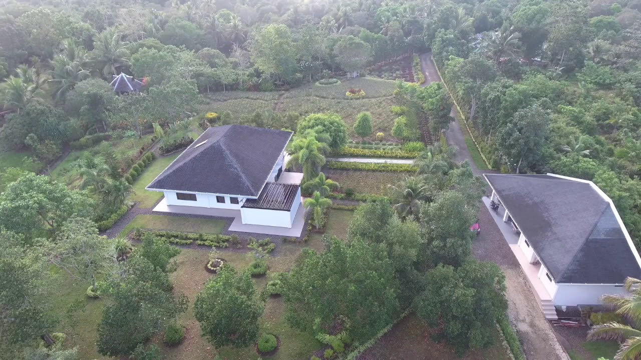 🏡 TAGBILARAN CITY – Expansive 1.5 Hectare Property with 2 Houses & Swimming Pool | Boholana Realty