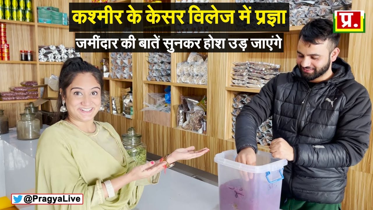 Kashmiri Kesar  (Saffron)  | Kashmir | Saffron Price |  Vlog Pragya Mishra | Pampore Kesar Village |