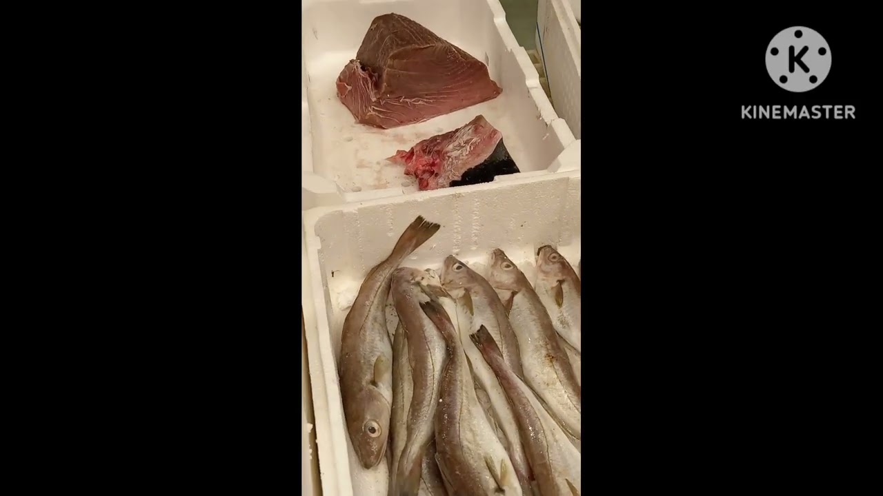 Fish Market in Milan
