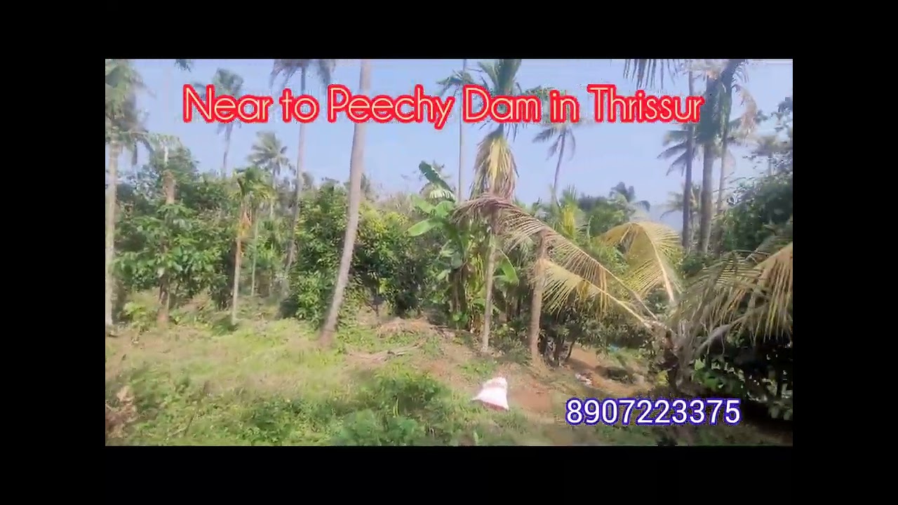 Two Acker land For sale Near to Peechy Dam in Thrissur Dist