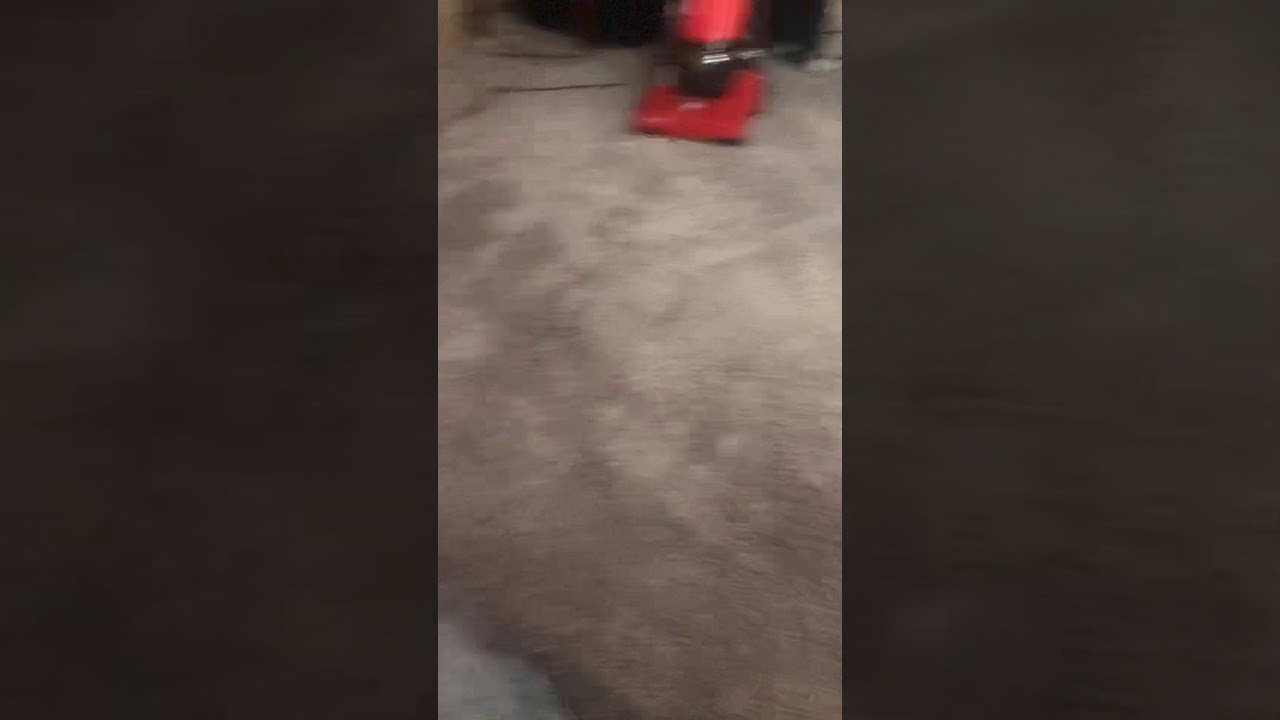 Cat hate vacuums