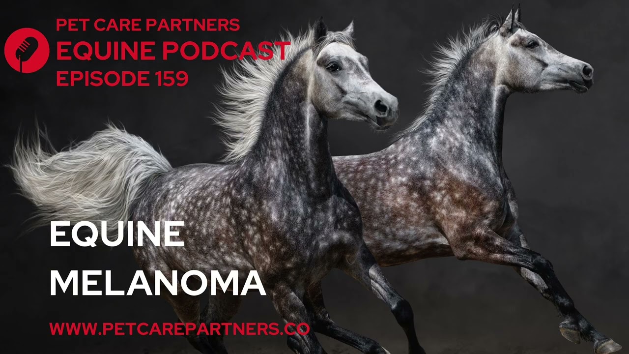 EP. 159: Equine Melanoma in Horses | Causes, Diagnosis & Management | Pet Care Partners