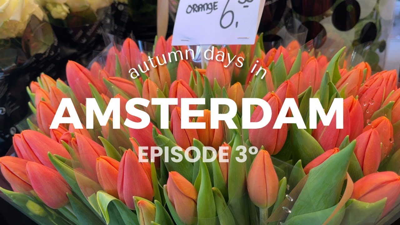 Travel Diaries | EP 3 ⋆ Autumn days in AMS🍁Bloemenmarkt, Begijnhof, Lover Cruise, Winkel 43 Vlog