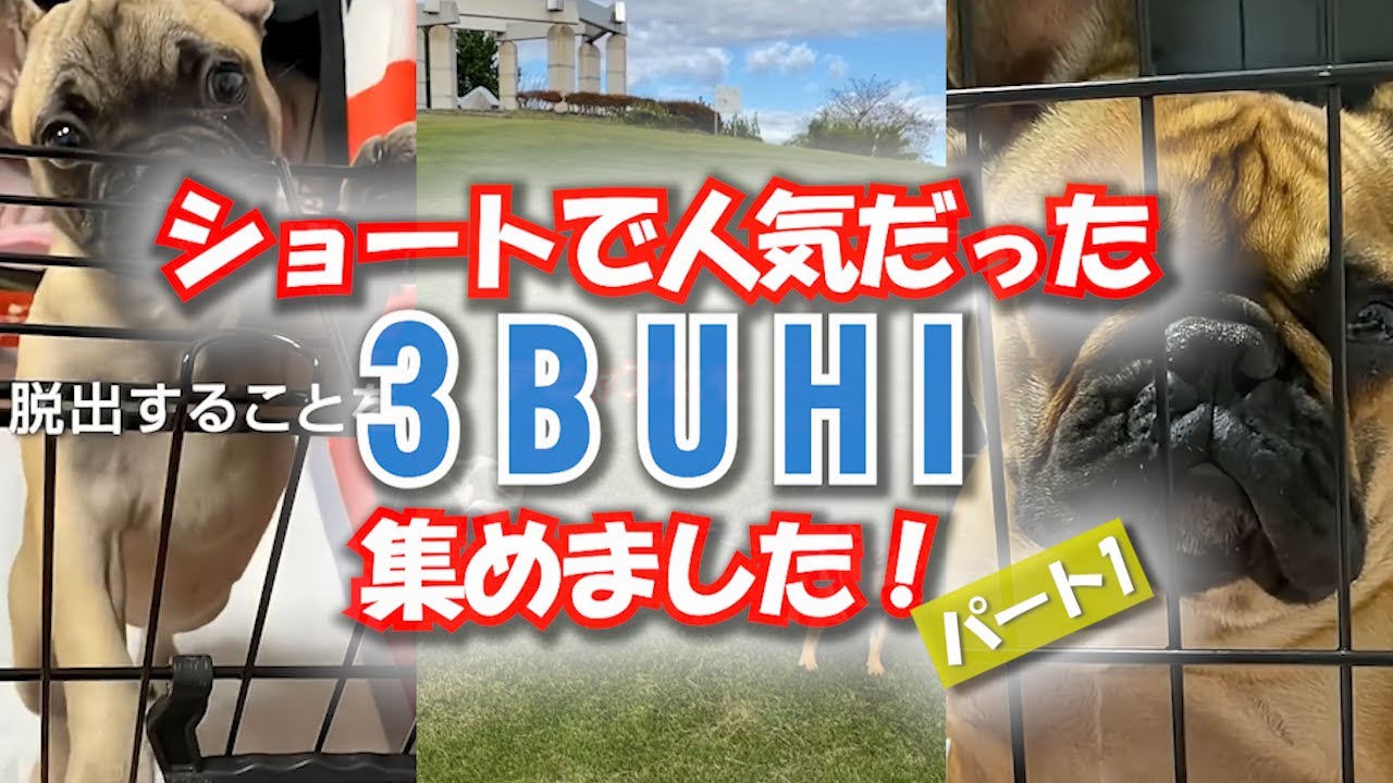 特別企画 第１弾「ショートで人気だった3BUHI集めました」パート1