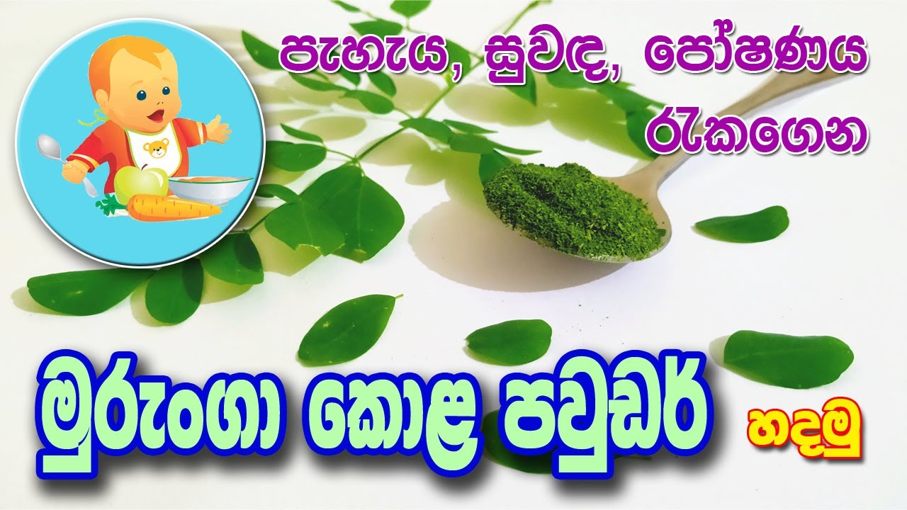මුරුංගා කොළ පවුඩර් - Murunga kola powder  - Baby Food Sinhala Recipe - බබාට කෑම - babata kema