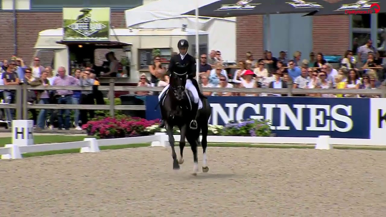 The stallion of the year Dark President (Wynton x G Ramiro Z)  KWPN stallion with Riccardo Sanavio
