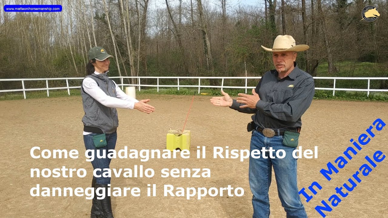 Come difendersi da cavalli dominanti o aggressivi