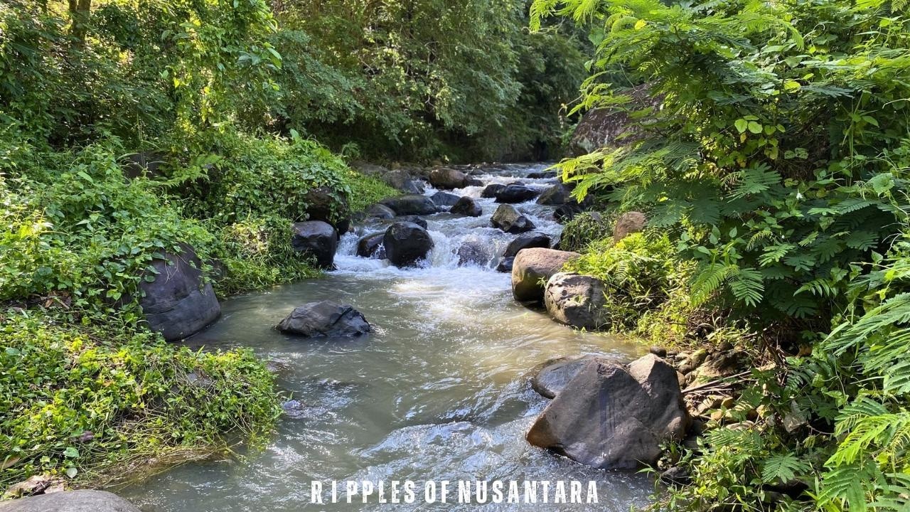 💦 Instant Relaxation – Clear River Stream Rushing Over Smooth Stones | Ripples Of Nusantara