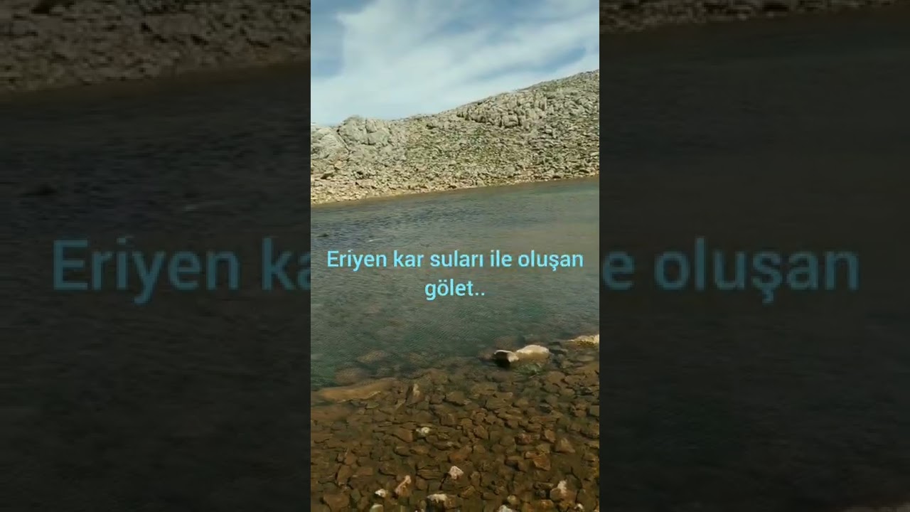 #arapgir #arapgirsarıçiçekyaylası #arapgirçaşırmantarı #arapgirdağlalesi