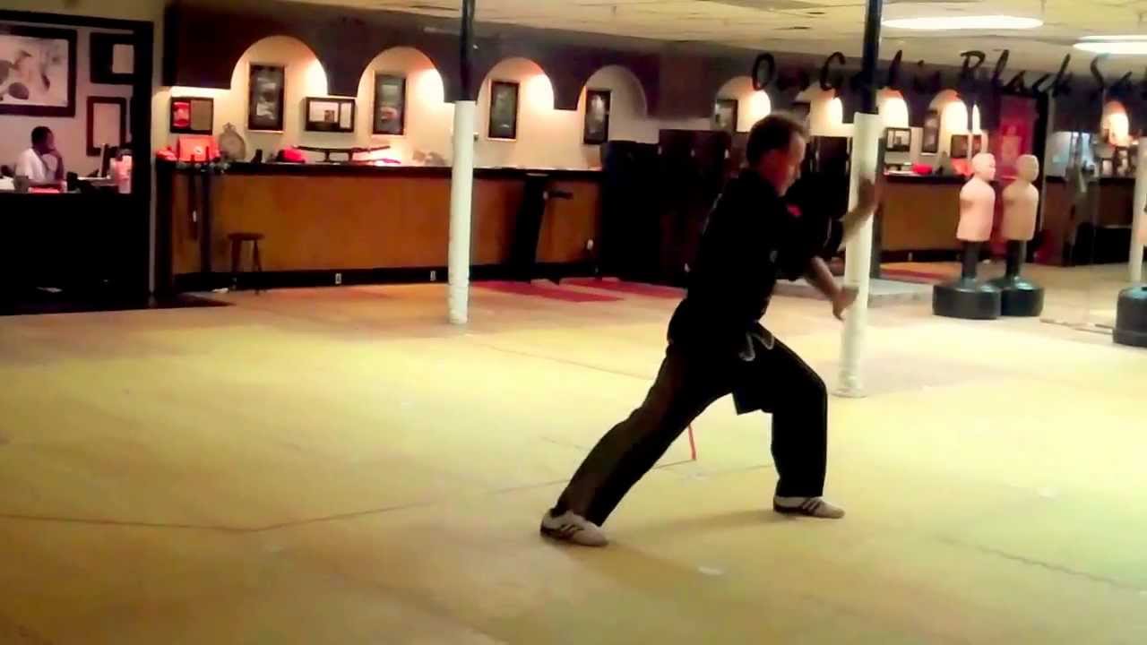Tiger-Crane Kung Fu Form (Walk Through Pace)