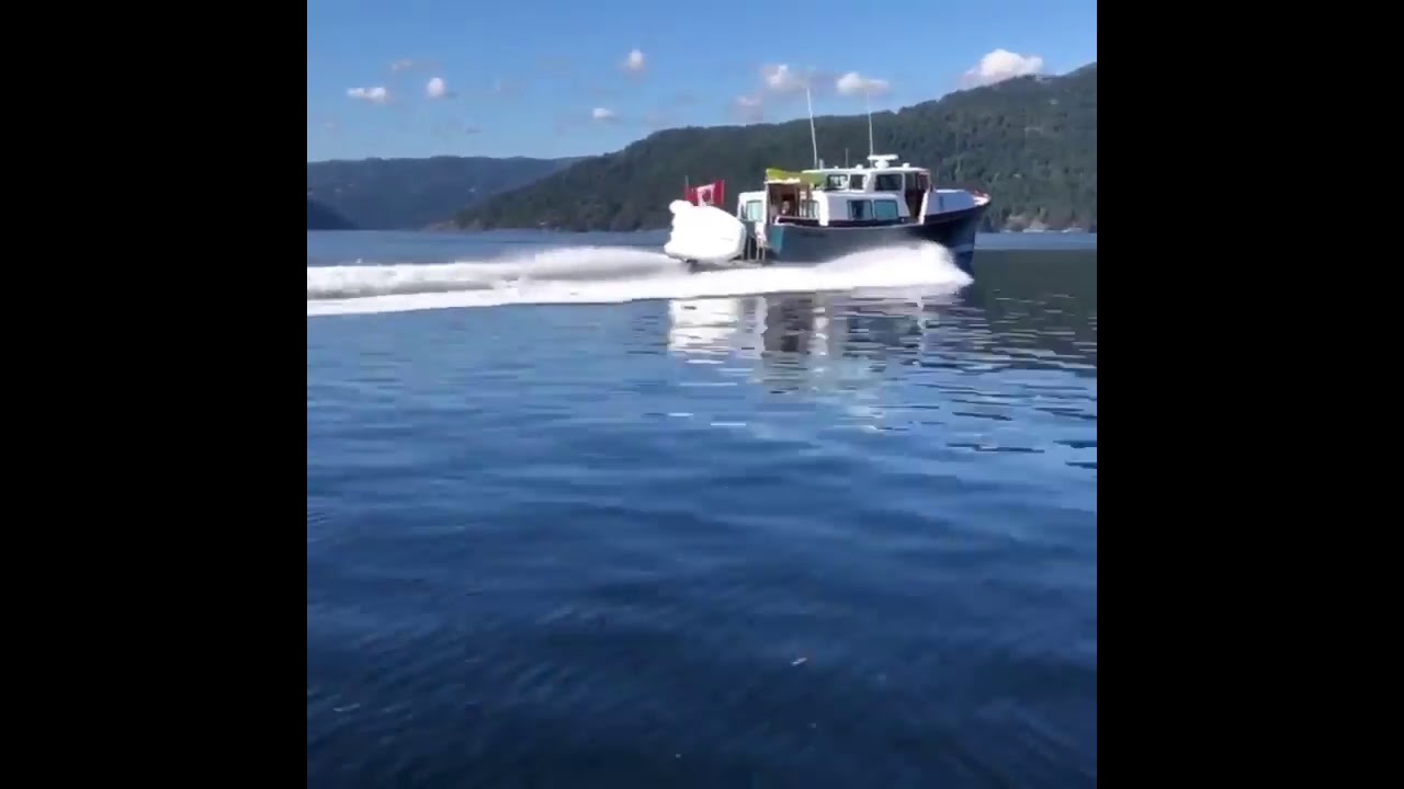 Bill Garden designed Linnet Conducting sea trials in The Saanich inlet.