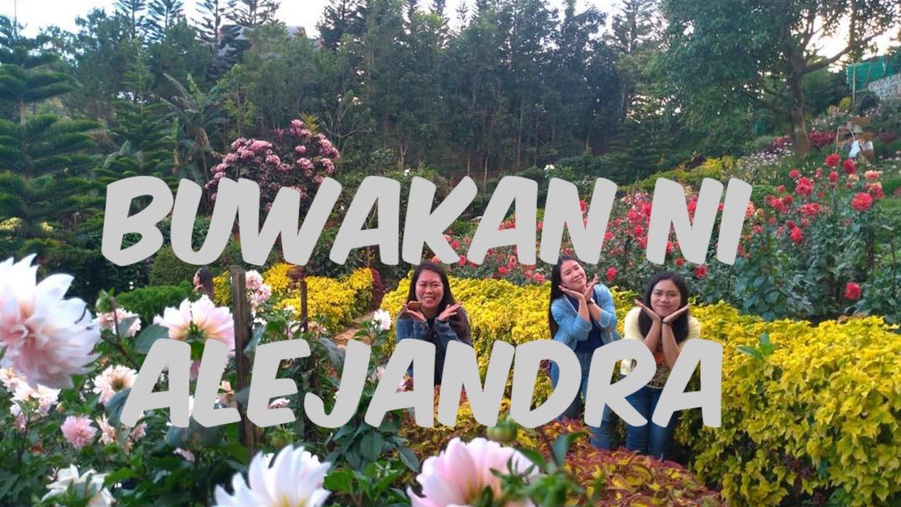 BUWAKAN NI ALEJANDRA|Lyrech Nipz