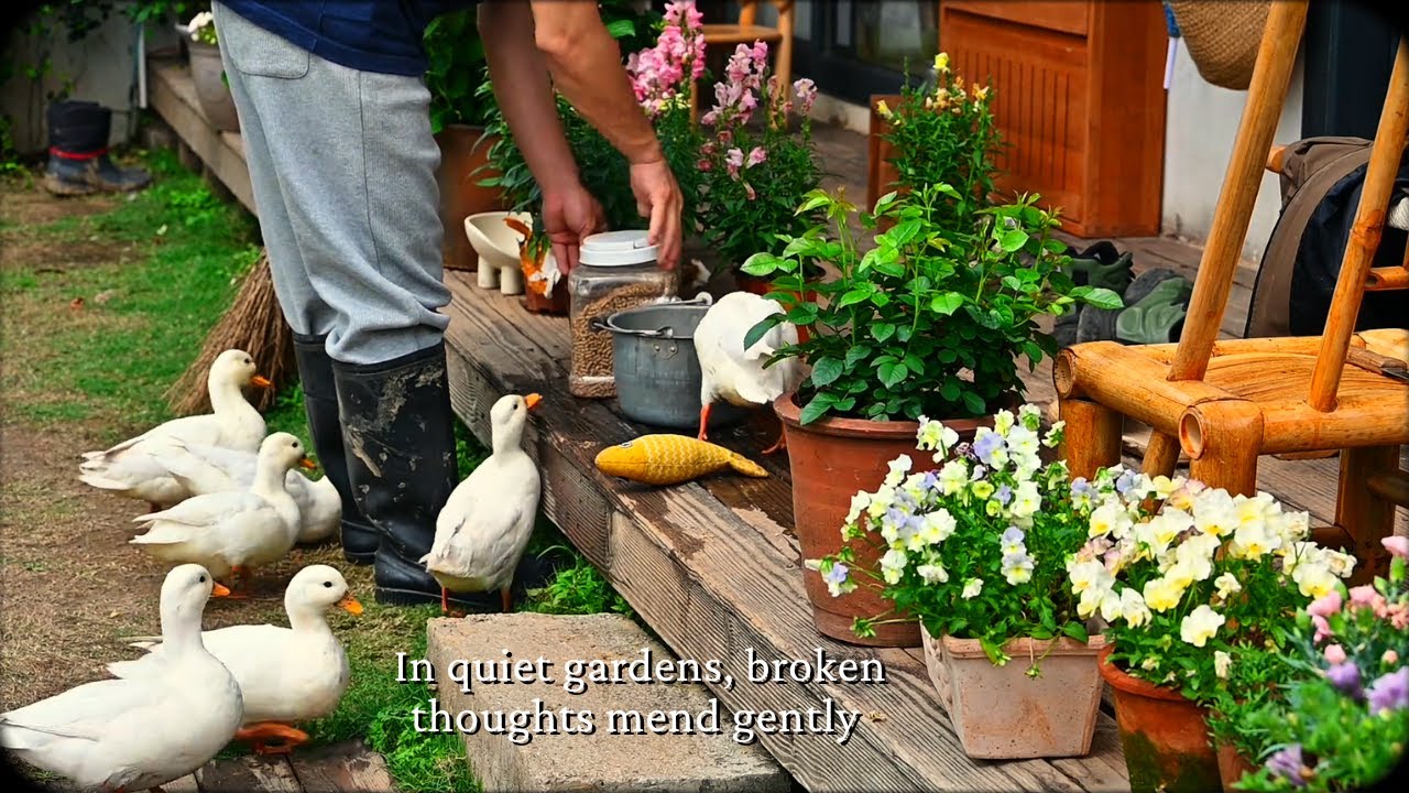 In quiet gardens, broken thoughts mend gently.../a playlist for quiet hours/
