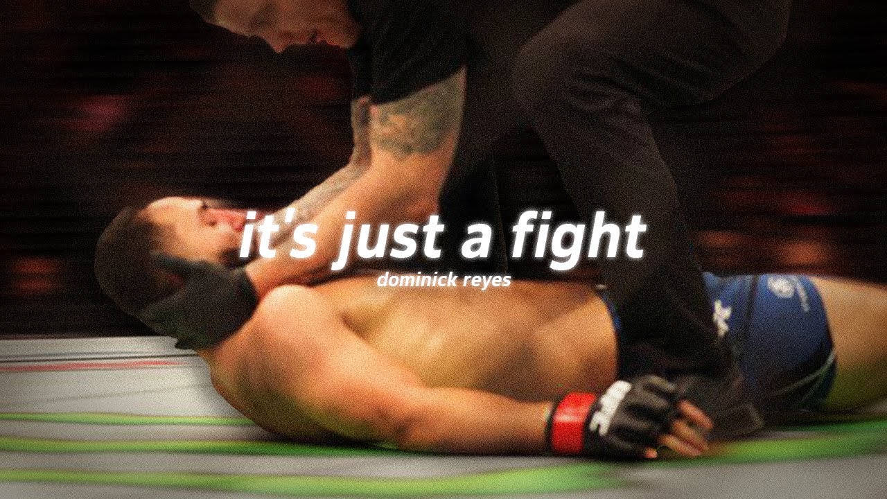 it's just a fight - Dominick Reyes