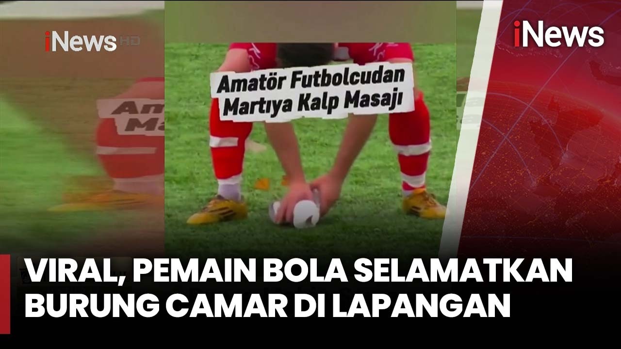 Aksi Heroik Pemain Bola Turki Selamatkan Burung di Tengah Pertandingan | iNews Sore (25/2)