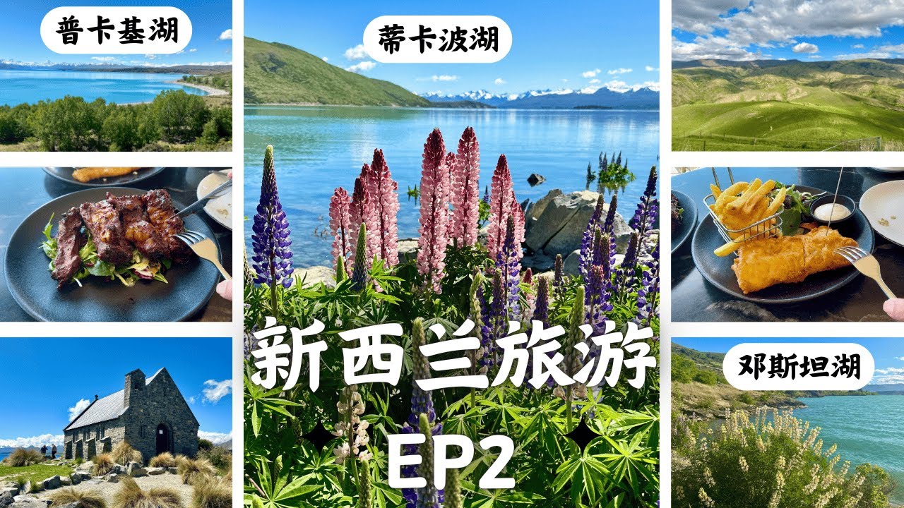 【新西兰南岛自驾游Ep2】蒂卡波湖｜好牧羊人教堂｜普卡基湖｜林迪斯山口｜邓斯坦湖｜蒂卡波湖美食| Lake Tekapo| Lupin| Church of the Good Shepherd