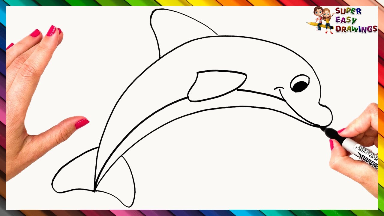 How To Draw A Dolphin Step By Step 🐬 Dolphin Drawing Easy