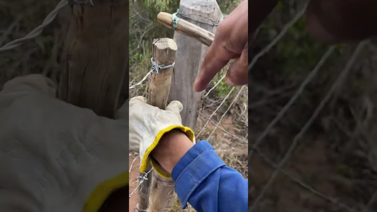 Engenheira rural (trava de colchete)