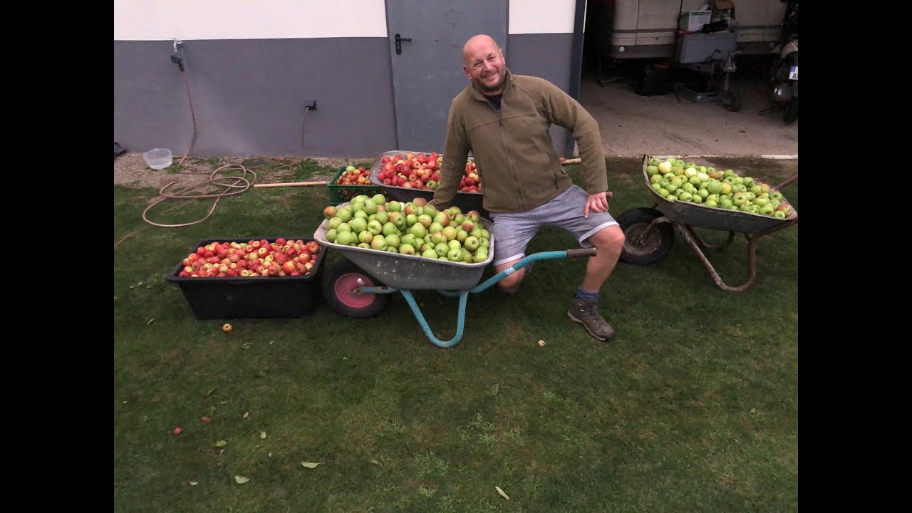 Apfelsaft komplett selbst pressen und haltbar machen