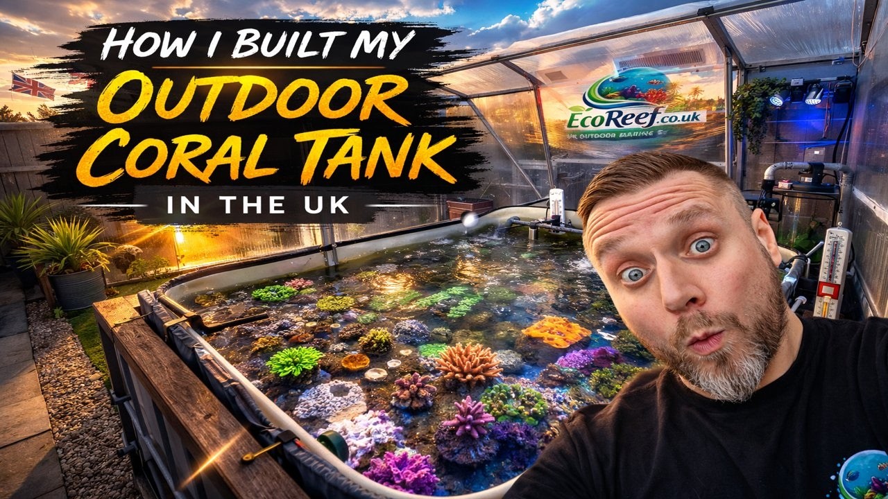 How i built my outdoor coral tank in the UK. My Reef Outside