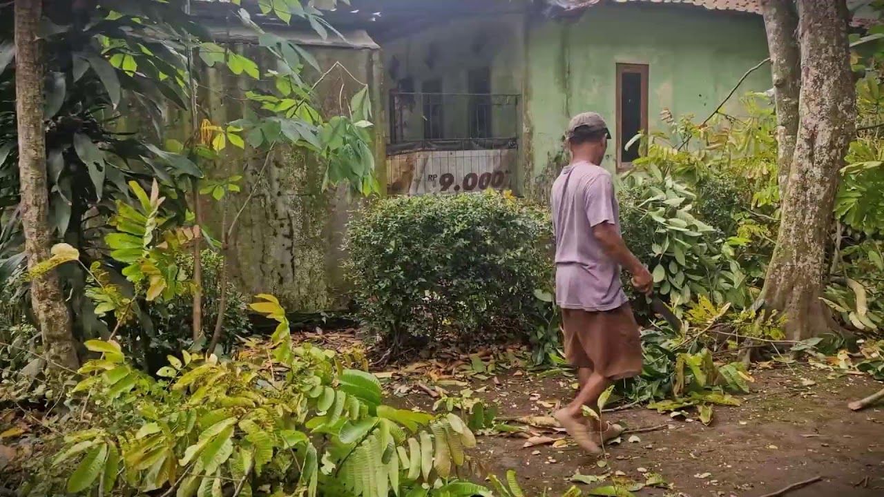 Manual Harvest: Preparing Small Wood for the Fire _FarmersLife _Shorts