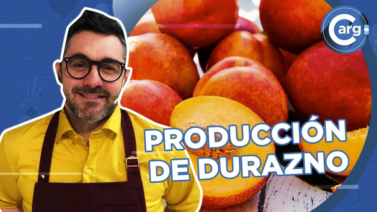 DURAZNOS MENDOCINOS EN ALMIBAR