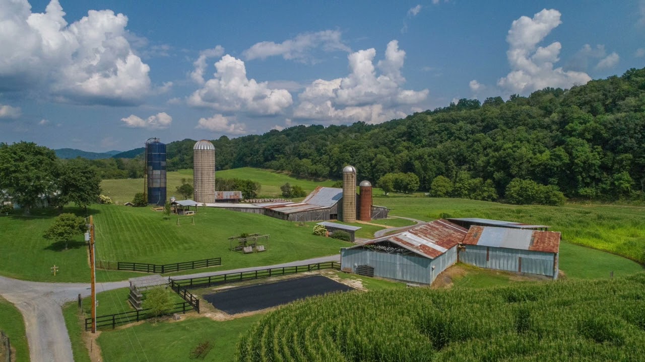 Whiskey Sticks Live At Cleek Farm Wedding Reception, Kingsport, TN, May 20, 2017