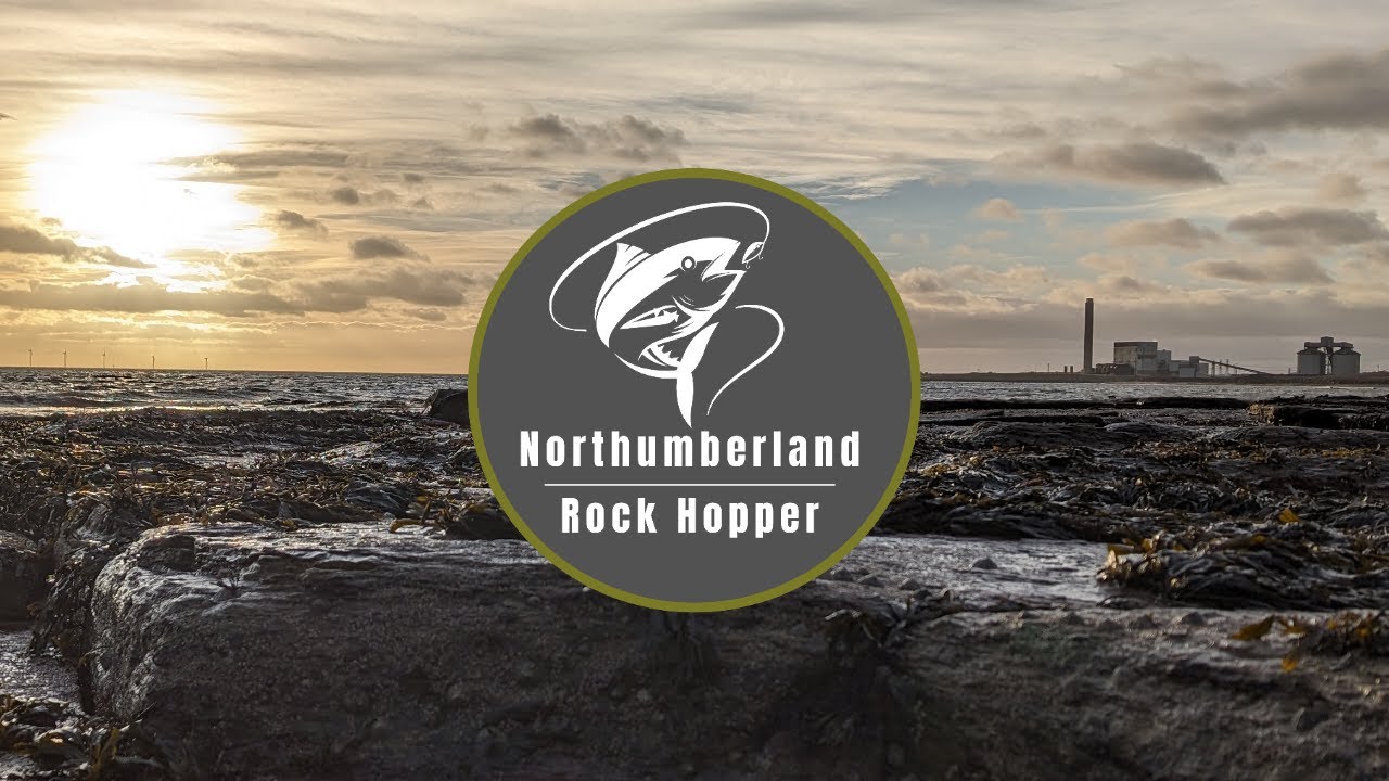 Fishing for cod in Northumberland competition