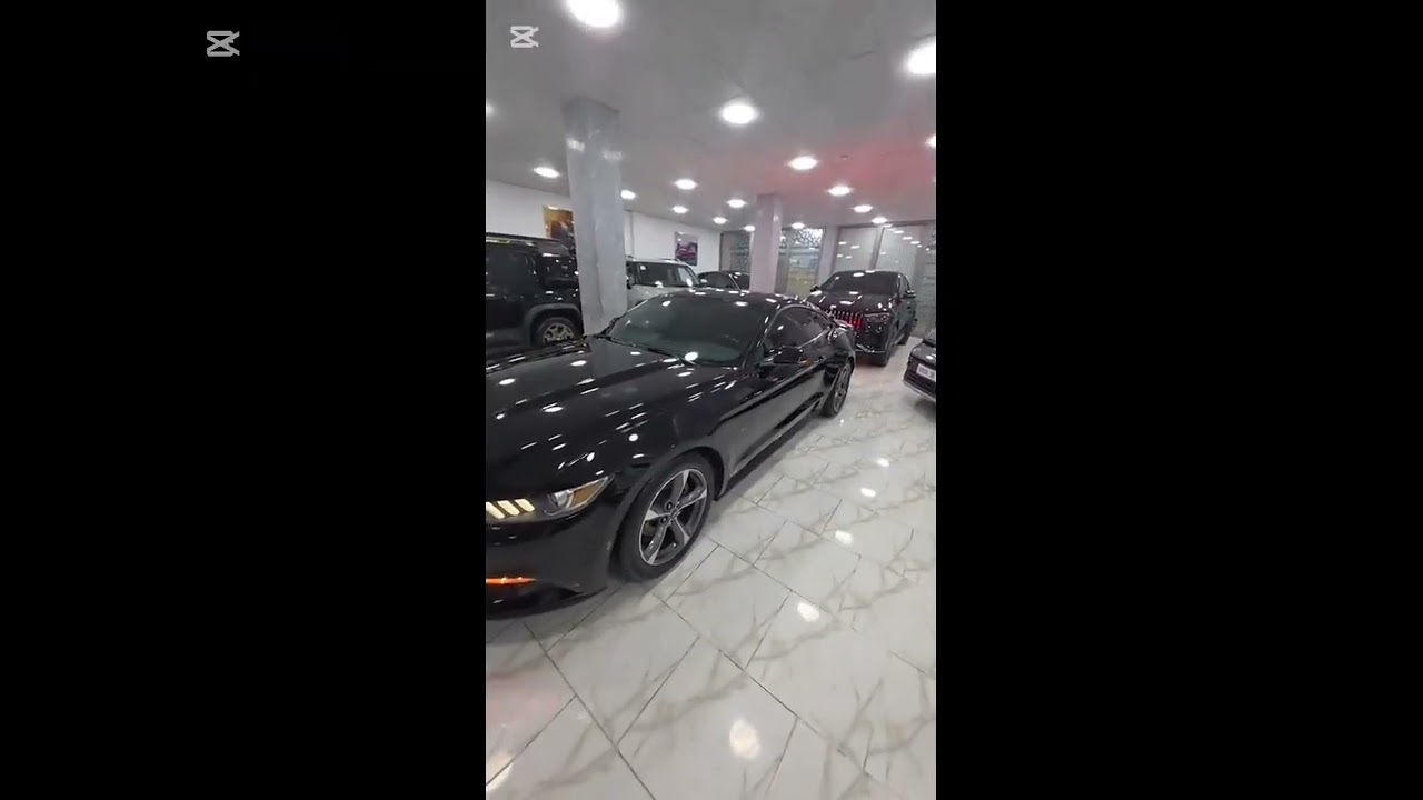 اسعار السيارات عند عمي الحاج 