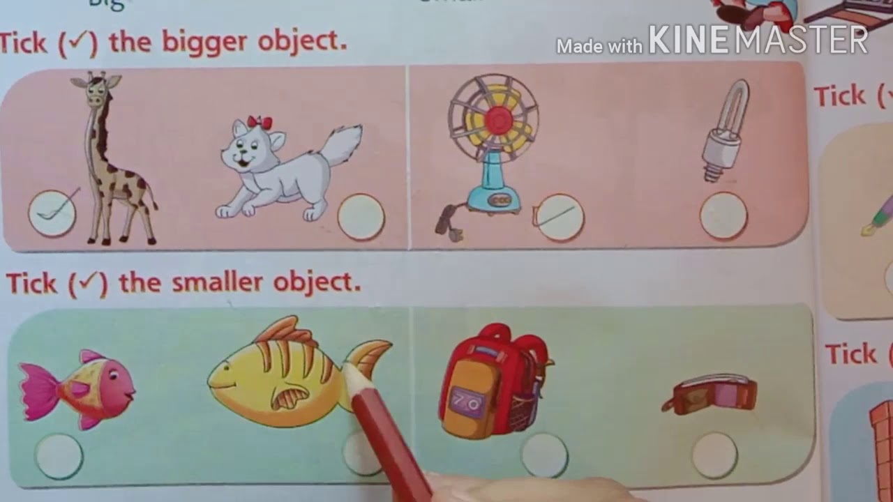 Class-1 Maths chapter -1 Pre Number Concept