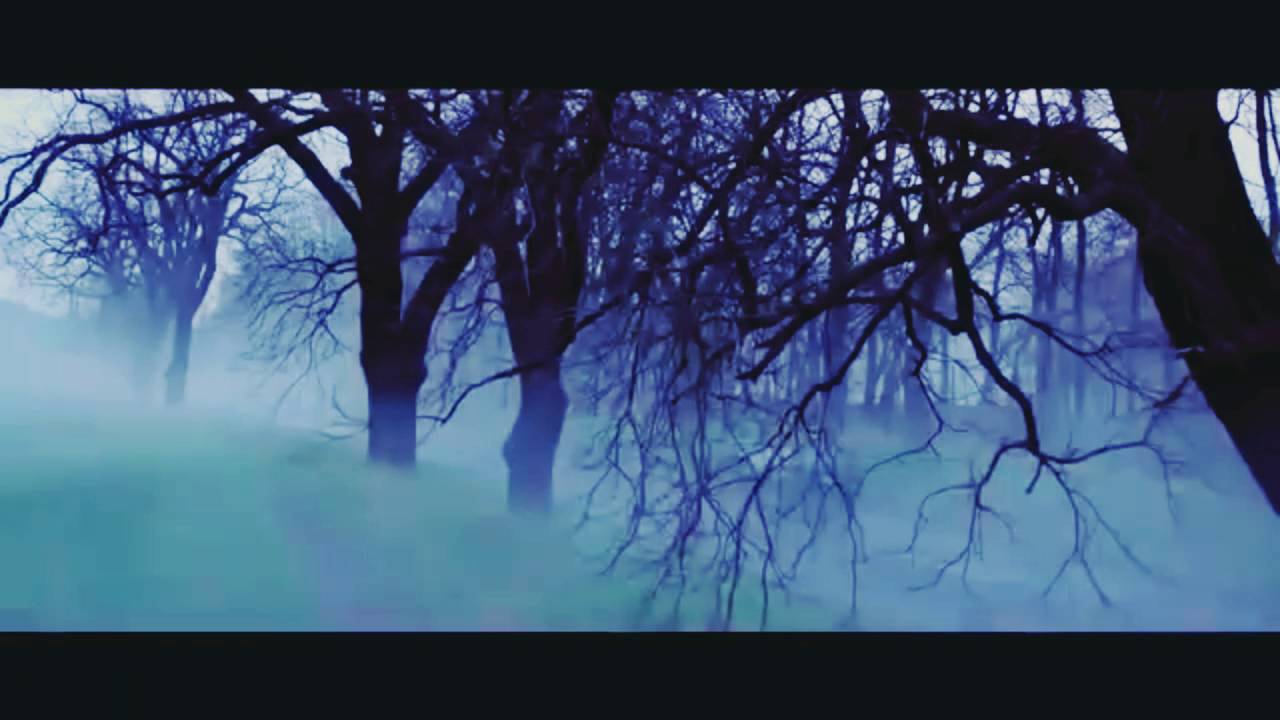 Daniel + Luce | Fallen | 