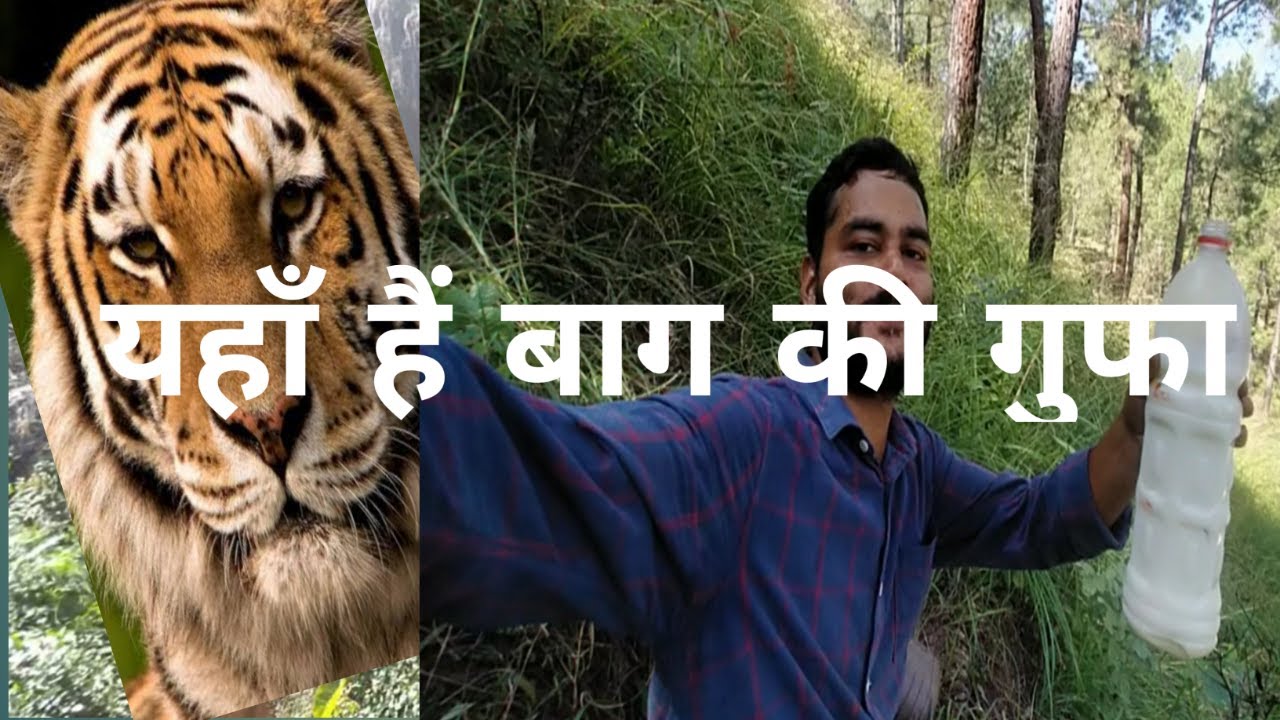 ये क्या हो गया आज || Village Life uttarakhand