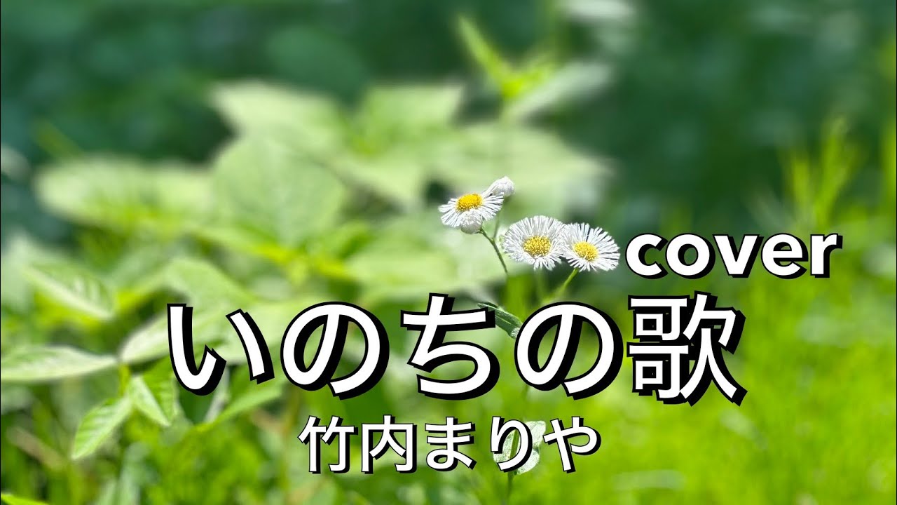 いのちの歌／竹内まりや☆歌ってみた♪